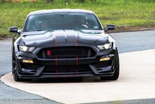 IMG_1623.jpeg