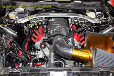 IMG_0080-S.jpg