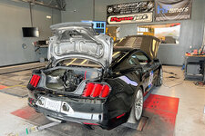 IMG_8289-S.jpg