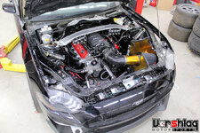 IMG_8766-L.jpg