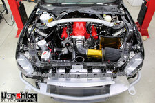 IMG_2246-L.jpg