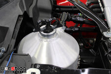 IMG_2264-S.jpg