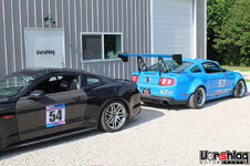 IMG_2485-L.jpg