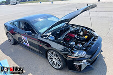 IMG_0564-S.jpg