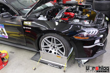 IMG_3080-S.jpg