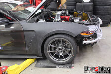 IMG_3190-S.jpg