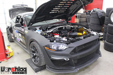 IMG_4005-S.jpg IMG_4005-S.jpg