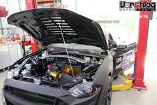 IMG_5480-S.jpg IMG_5480-S.jpg