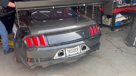 IMG_5515-L.jpg IMG_5515-L.jpg