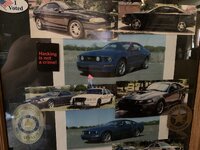 IMG_1482.jpeg