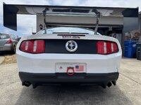 IMG_4035.jpeg
