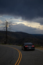 IMG_9017.jpg