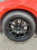 IMG_3571.jpeg