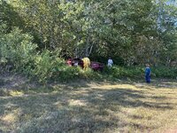 IMG_8976.jpeg