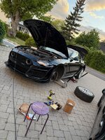 IMG_6867.jpg