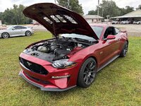 2020 Mustang GT PP1