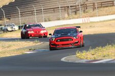 The Sh*Tstang
