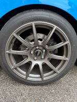 IMG_9897.jpeg IMG_9897.jpeg