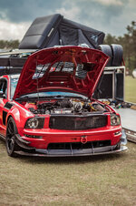 BBS_0051.jpg BBS_0051.jpg