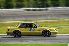 IMG_4208.jpg