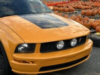 2025-10-24 Hood Stripe.jpg