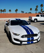2017 GT350