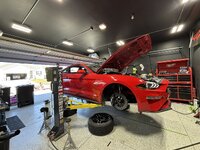 IMG_7836.jpeg