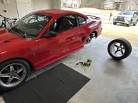 IMG_8941.jpeg