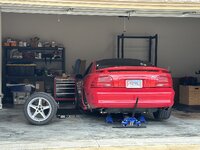 IMG_8943.jpeg
