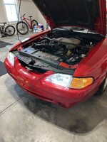 IMG_8880.jpeg