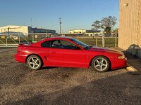 IMG_8461.jpeg