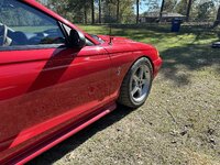 IMG_8450.jpeg