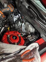 IMG_7801.jpeg