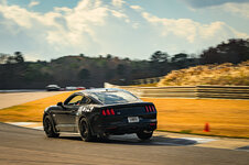 15 Mustang GT PP1