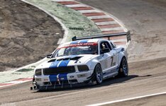 IMG_5795.jpeg