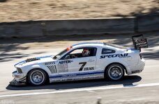 IMG_5794.jpeg