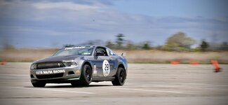 IMG_7113.jpg IMG_7113.jpg