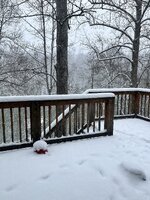 IMG_1644.jpeg