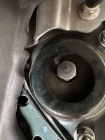 IMG_1746.jpeg