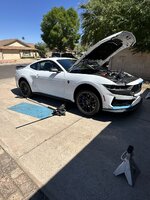 IMG_1765.jpeg