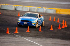 DSC03590.JPG