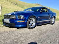 IMG_8821.jpeg