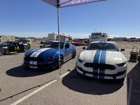 IMG_6305.jpeg IMG_6305.jpeg