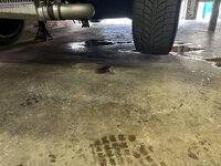 IMG_0049.jpeg