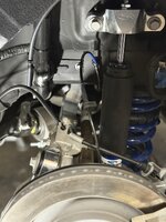 IMG_3802.jpeg
