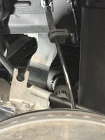 IMG_3810.jpeg