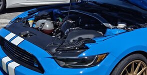 DaveFreemanMustang3.jpg