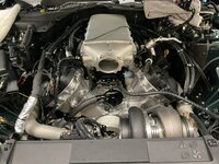 IMG_2703.jpeg