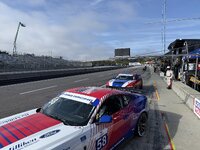 IMG_2041.jpeg