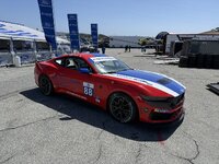 IMG_2020.jpeg